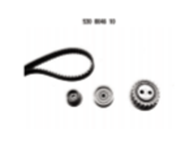 hot sale Timing Belt Kits 530004610 K025302XS for BMW